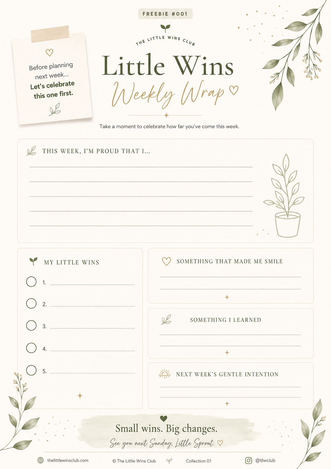 Little Wins Weekly Wrap #001